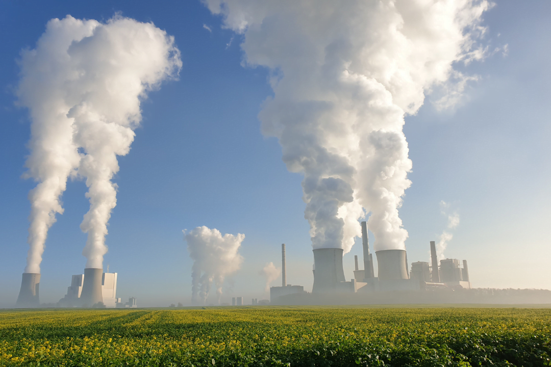carbon mapping